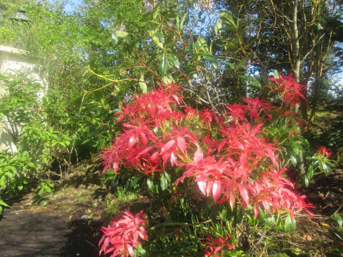 Ard Na Greine Bed & Breakfast Ballylickey Bagian luar foto